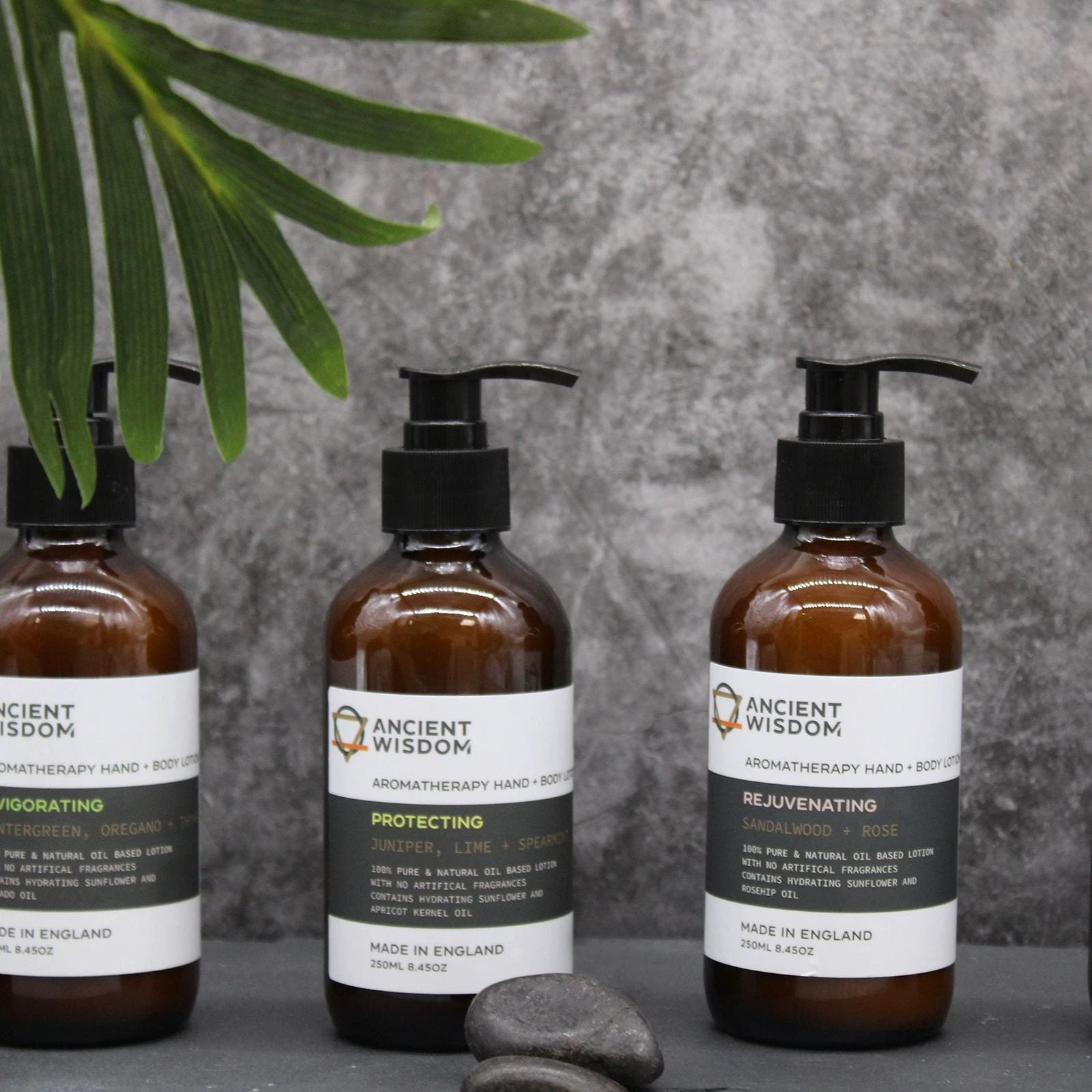 Wintergreen, Oregano & Thyme Hand & Body Lotion 250ml by AW Dropship UK