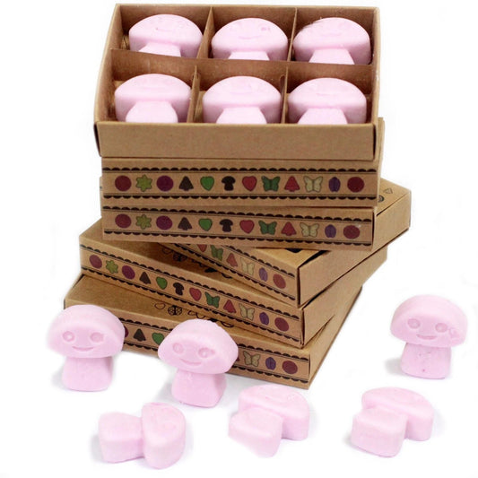 Box of 6 Wax Melts - Ylang Ylang by AW Dropship UK