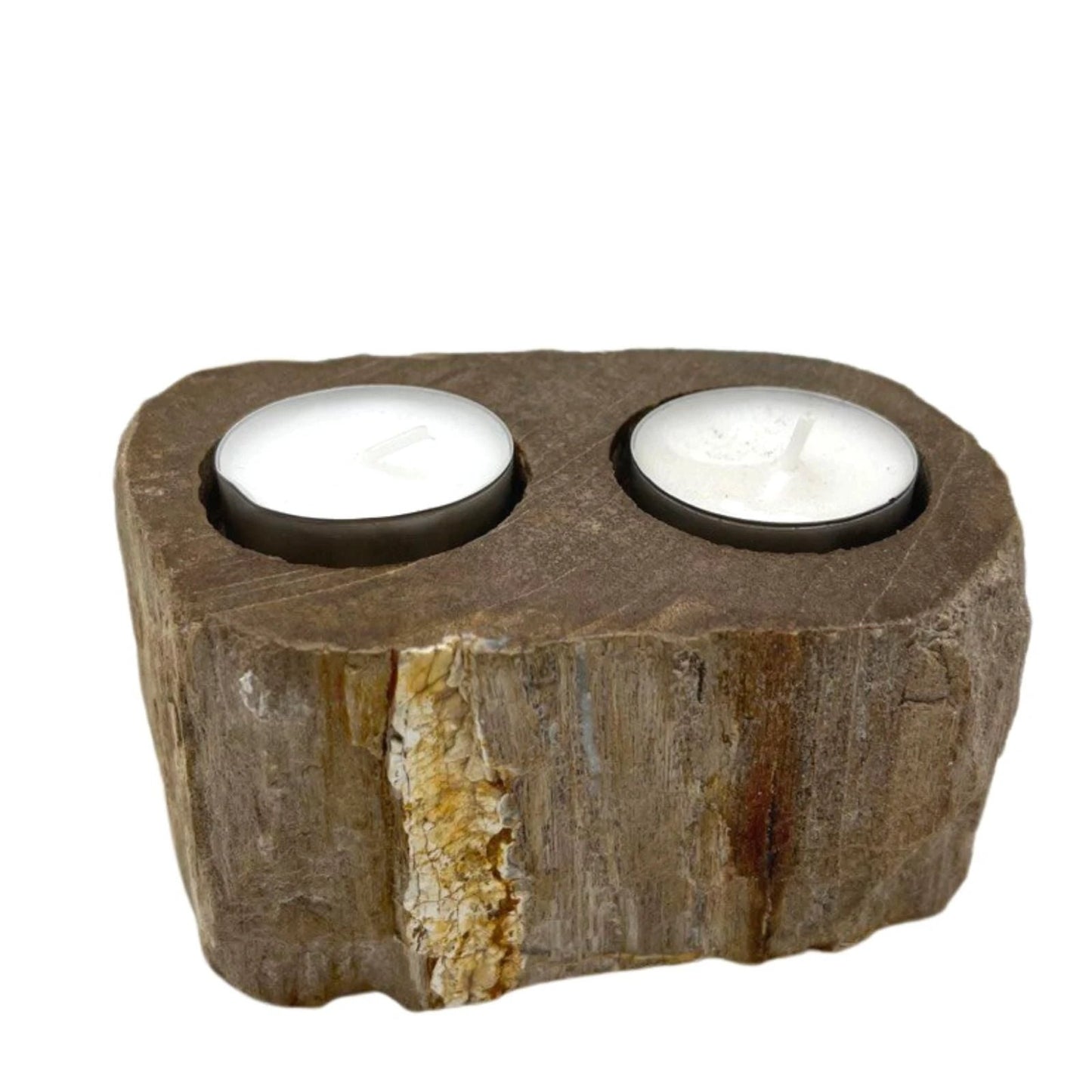 Petrified Wood Candle Holder - Double by AW Dropship UK