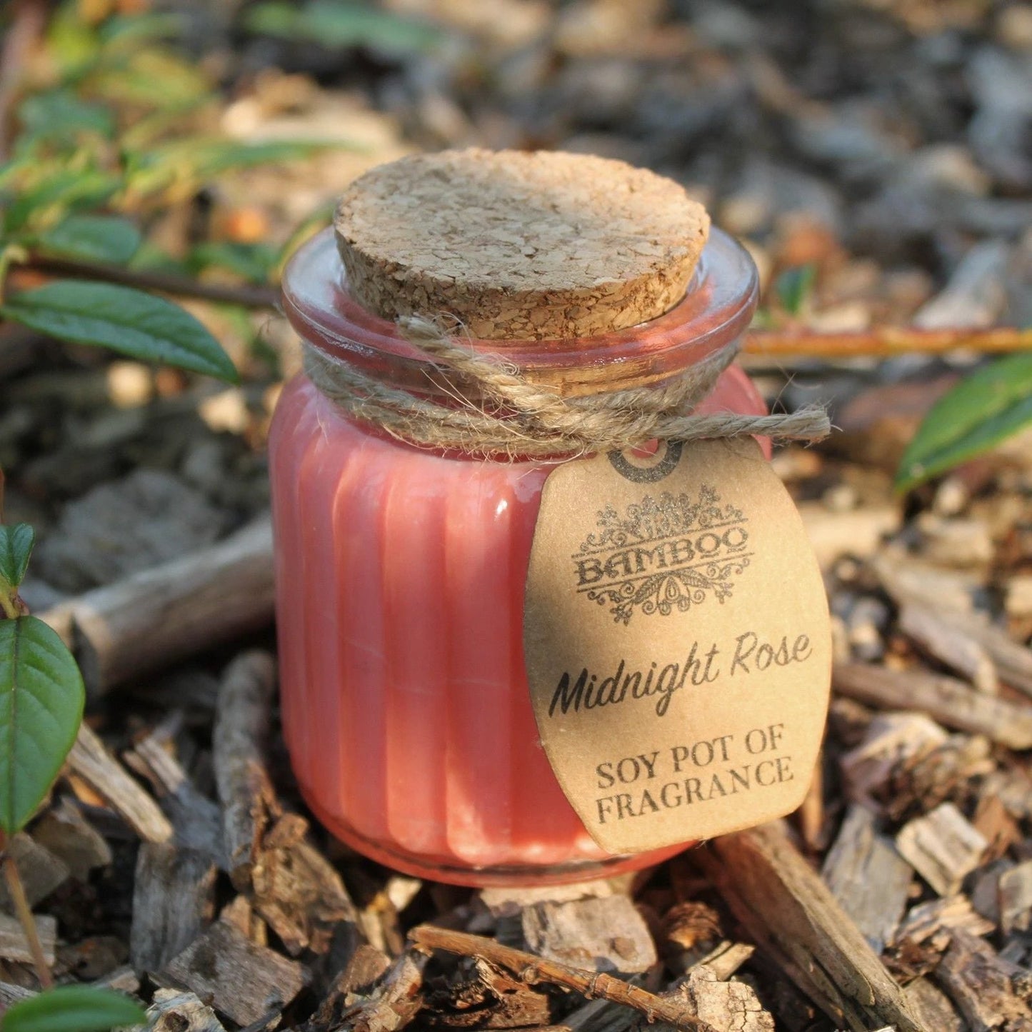 Midnight Rose Soy Pot of Fragrance Candles by AW Dropship UK
