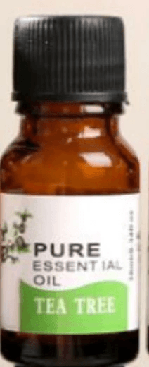 Aromatherapy Essential Oil for Humidifiers - 10ml by Pampering Heaven