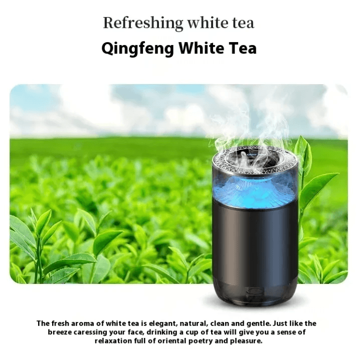 Car Aromatherapy Sprayer by Pampering Heaven